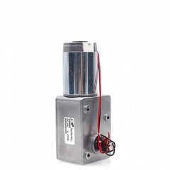 Speed Motor - GW600 / GW31ZY DC