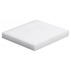 Roland Flush Sponge for RS640 cleaning solution wide-format printer part