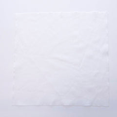 iColorPro Cleanroom Wiper industrial printer printhead